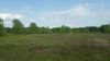 16673 Forest Blvd N photo